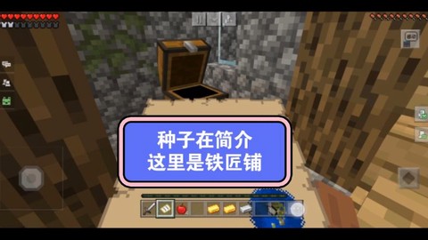 我的世界钻石大陆的种子是什么