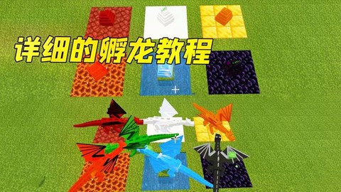 我的世界龙蛋怎么孵化不了[图2]