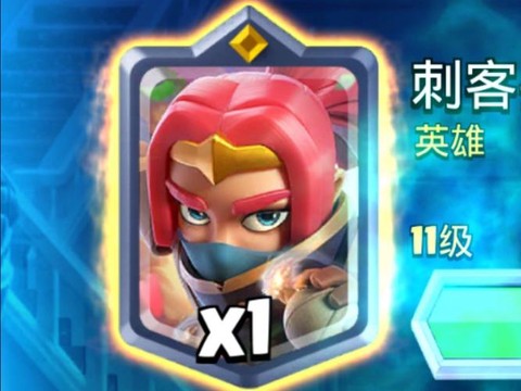 皇室战争刺客配什么[图1]