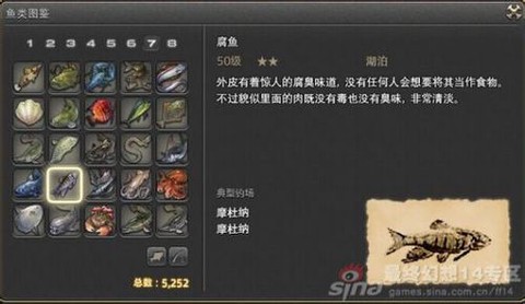 最终幻想14鱼有什么用[图1]
