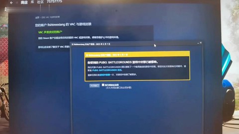 绝地求生vac怎么办[图1]