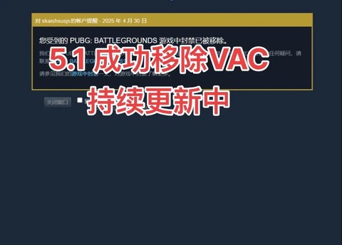 绝地求生vac怎么办[图2]