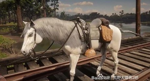 荒野大镖客如何活捉[图1]