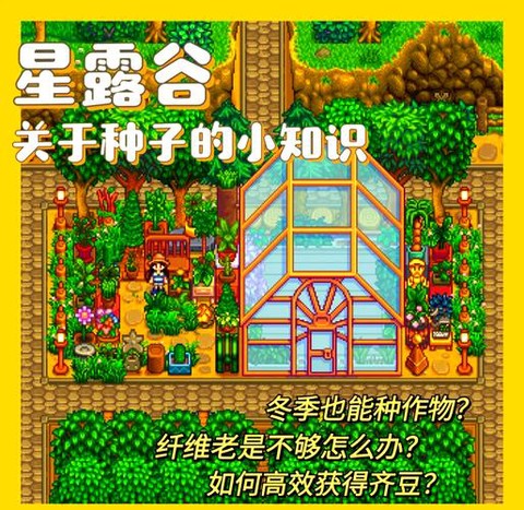 星露谷物语夏天种什么[图1]